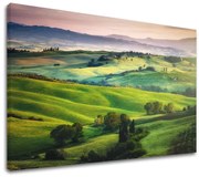 Obraz na stenu LÚKA_049-11 | rôzne rozmery