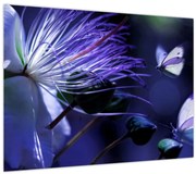 Obraz - Tropický kvet (70x50 cm)