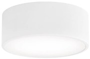 Brilagi - Stropné svietidlo CLARE 1xE27/24W/230V pr. 20 cm biela BG0817