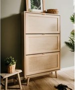 Botník s výklopnými dverami Bali, dub sonoma/výplet%