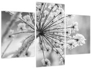 Obraz - Kvetina v zime (90x60 cm)