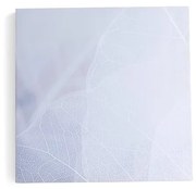 Akustický panel IMAGE, zimný list, 800x800 mm, šedá