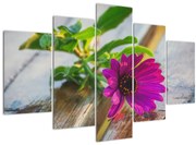 Obraz rezanej kvetiny (150x105 cm)