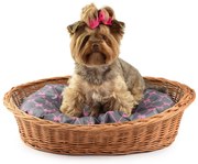 Pelech pre zvieratá poduška kostičkaš. 52 x hl. 39 x v. 12/14(cm)