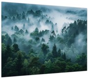 Obraz - Les v hmle (70x50 cm)