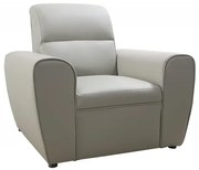 Kožené kreslo TOKIO, sivá (u-24)