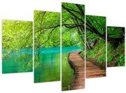 Obraz - Plitvické jazerá (150x105 cm)