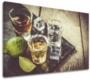 Obraz na stenu TEQUILA_075-11 | rôzne rozmery