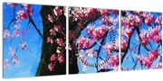 Obraz maľované rozkvitnuté čerešne (s hodinami) (90x30 cm)