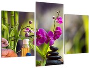 Obraz - spa and stones (90x60 cm)