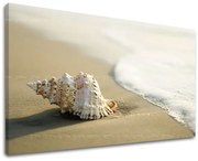 Obraz na stenu PLÁŽ | rôzne rozmery