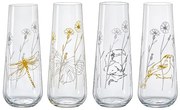 Crystalex Poháre na prosecco MEADOW 250 ml, 4 ks