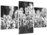 Obraz - Letná lúka (90x60 cm)