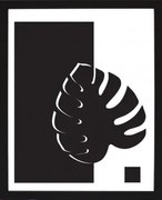 Rámovaný obraz Čiernobiela rastlinná abstrakcia I, 24x30 cm%