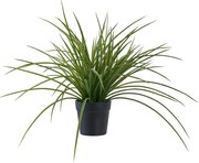 Umelá tráva (výška 45 cm) – House Nordic