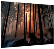 Obraz temného lesa (70x50 cm)