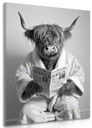 Obraz krava s novinami na záchode