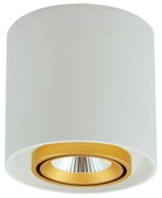 LED Bodové svietidlo XENO LED/15W/230V biela 1200lm