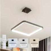 Brilagi - LED stmievateľný luster na lanku FALCON SLIM LED/50W/230V 50x50 cm čierna + diaľkový ovládač
