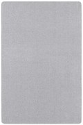 Kusový koberec Nasty 101595 Silber, 67x120, šedá, chodba / predsieň, Hanse Home