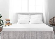 Jersey plachta z mako bavlny LUXORA 90x200 cm biela