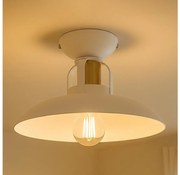 Brilagi - LED Prisadený luster FLAMENGO 1xE27/60W/230V biela