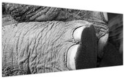 Obraz - Slonia noha (120x50 cm)