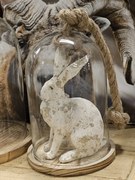 Drevený podnos so skleneným krytom - 19 * 17 * 28 cm