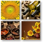 Obraz na stenu Taste of the Sun | rôzne rozmery