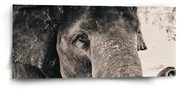 Sablio Obraz Pruhovaný motív - 110x50 cm