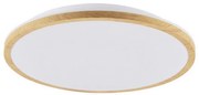 LED Stropné svietidlo WOODY LED/24W/230V pr. 38 cm