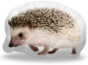 Sablio 3D vankúš Ježko