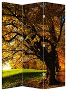 Paraván - Jeseň (126x170 cm)