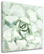 Obraz na plátne KVET | rôzne rozmery