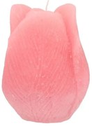 Set 7ks lesná zelená úzka krátka sviečka Short dinner - Ø 2*12cm / 5h