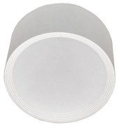 LED Stropné svietidlo PERCI LED/30W/230V IP40 4000K biela