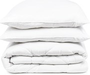 4Home Set prikrývky a vankúša Aloe Vera, 200 x 220 cm, 2 ks 70 x 90 cm, 200 x 220 cm, 2 ks 70 x 90 cm