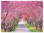Nástenná maľba rozkvitnutá alej stromov, 40 LED, 30 x 40 cm