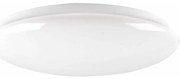 LED Kúpeľňové stropné svietidlo PIRIUS LED/12W/230V pr. 28 cm IP44
