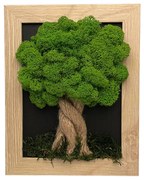 Machový obrázok v hnedom ráme 19 x 24 cm