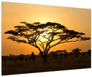 Obraz - Africká savana (90x60 cm)