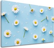 Obraz na stenu BIELE KVETY_163-11