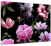 Obraz - Ilustrácie kvetov (70x50 cm)