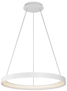 Top Light-LED St. luster na lanku ORBIT LED/40W/230V 3000-6500K pr. 50 cm biela+DO