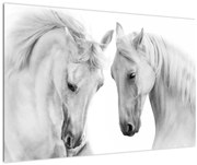 Obraz bielych koní (90x60 cm)