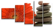 Sablio Obraz - 5-dílný Gerbera s kameňmi - 100x60 cm