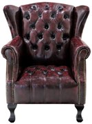 furniture-nabytek.cz - Kožené kreslo Chesterfield