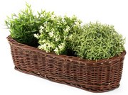 Truhlík prútený tmavý Pelargónie IV.š. 48 x hl. 17 x v. 14(cm)