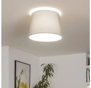 Brilagi - LED prisadené stropné svietidlo CERIA 1xE27/40W/230V priemer 30 cm sivá