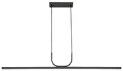 Rabalux 72127 - LED Luster na lanku ELIA LED/25W/230V 3000K čierna RL72127
